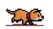 Dog Image